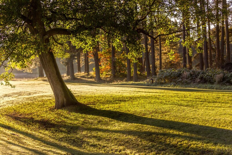 Image of First Morning Rays by Noel Fenech Photography